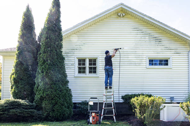 Reliable Prosper, TX Pressure Washing Solutions